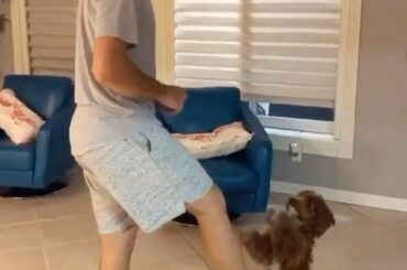 Igor Shesterkin et le chiot avec les mouvements. (: @shesterkinigor) #HockeyAtHome ...