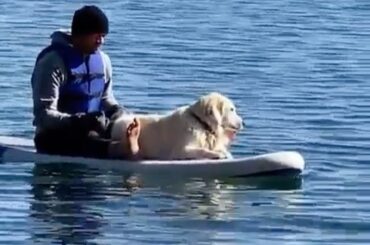 Marc-Edouard Vlasic (@ mevlasic44) a trouvé le copilote parfait. #HockeyAtHome (@m ...