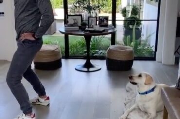 Kevin Bieksa sait ce qu'il fait ici ... (: TikTok / kevinbieksa) #HockeyAtHome ...