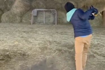 10/10 pourrait frapper le large côté d'une grange. #HockeyAtHome (@riverroadfarms) ...