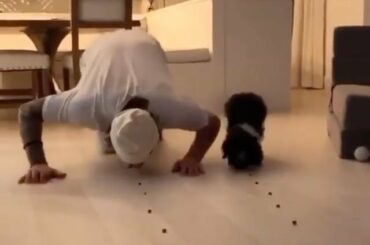 @davidpastrnak vs pup dans une épreuve de force pour les âges. #HockeyAtHome (@nhlbruins) ...