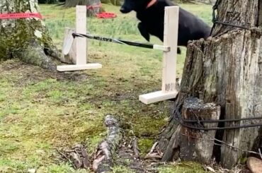 Très bien, les amis. Qui l'a le mieux fait?

Wolfie? Saule? Ou @ thomasgreiss1? Vous choisissez! # ...