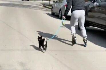 Jambes Smol = Vitesse maximale #HockeyAtHome (Alex DeBrincat, @debrindogs) ...