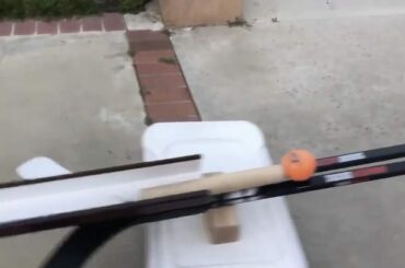 Juste au moment où nous pensions avoir tout vu. #HockeyAtHome (TW / Ducks_SCORE) ...