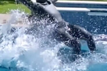 Locaux seulement, Marc-Edouard Vlasic (@ mevlasic44). #HockeyAtHome (@mrsvlasic) ...