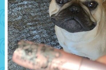 @butterpigcrouse a fait quelques ébats sauvages avec Lawson Crouse (@lawcrouse) ...