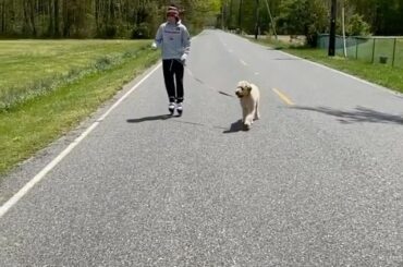 Patinez avec Bailey! #HockeyAtHome (: Johnny Gaudreau (@ johngaudreau03), @ ...