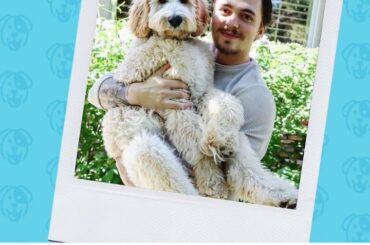 Il est temps de voter pour ce chiot.

Vos nominés pour le meilleur chien sont @theaussie_aspen (...