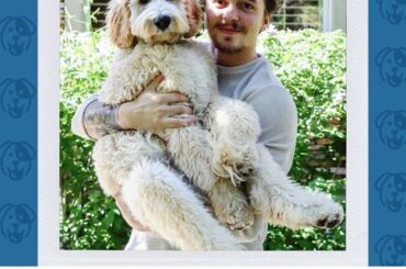 Okay, @tornadethedoodle... you're one cute pup.  Cast your #NHLFanChoice vote fo...