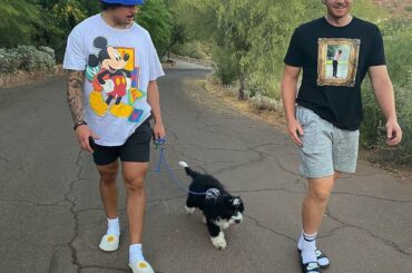 Quelques nominés #NHLFanChoice se promènent. (Désolé doggo peut-être prochain seaso ...