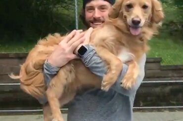 CE SOURIRE #HockeyAtHome (Craig Smith, @ tula.the.mini.golden) ...