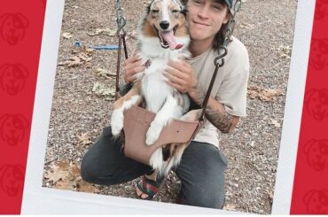 Tyler Bertuzzi (@ bertuzzi17) et @theaussie_aspen devraient-ils ramener à la maison #NHLFanChoice ...