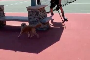 "Tu ne me rattraperas jamais." - #HockeyAtHome (Reilly Smith, @ melponte1) ...