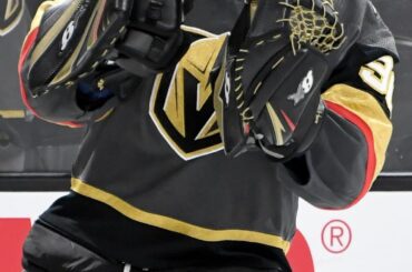 Tu ferais mieux de le croire, Robin Lehner! Vous êtes le lauréat du prix #NHLFanChoice pour B ...