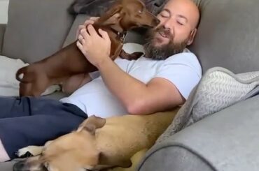 Puppies love the @tblightning!  #MyPlayoffsMoment 

( @diddyc1117)...