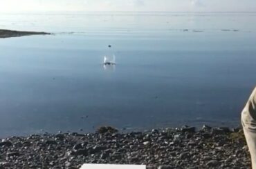 Sauce à l'eau #MyPlayoffsMoment (@ hky.time_, @nhleurope) ...