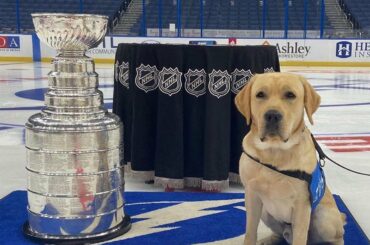 #StanleyCup Bolt!

(: @boltspup) ...