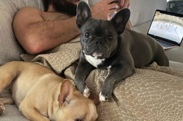 Bark-to-bark Champion #StanleyCup, @pattymaroon. (@insta__bernie) ...