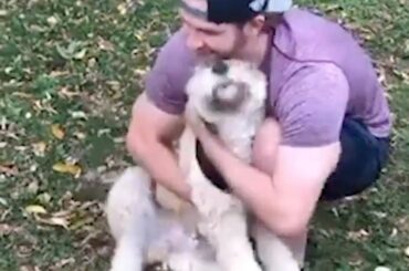 Vous pensez que le chiot de Scott Wedgewood l'a manqué? #StanleyCup (@britttanyenglish, @wedg ...