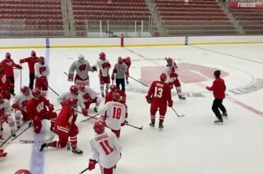 "Désolé, je dois prendre ça, c'est des @detroitredwings." - Sam Stange, probab ...