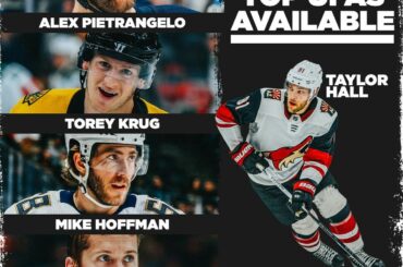 C'est une classe BIG UFA qui doit frapper #NHLFreeAgency aujourd'hui à midi.

Qui va où ...