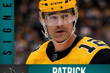 PATTY REVIENT SUR LES @sanjosesharks! #NHLFreeAgency ...