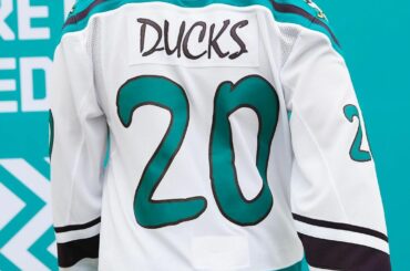 Charlatan! Charlatan! Charlatan!

Wild Wing est venu jouer dans ces @AnaheimDucks #ReverseRet ...