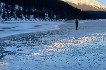 La glace cristalline ... #NHLOutdoors au lac Tahoe les 20 et 21 février sur @NHLonN ...