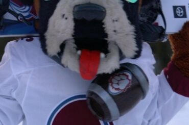 Bernie, Blades et Chance semblent apprécier le paysage de ce charmant lac Taho ...