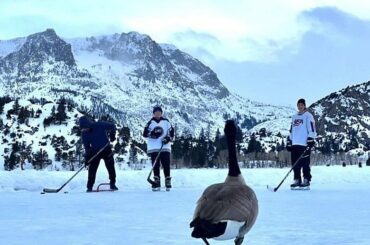 «Vous en cherchez un de plus, les gars?  #NHLOutdoors au lac Tahoe les 20 et 21 février ...