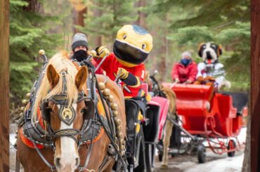 Clairement @chancenhl et Bernie ont profité de leur séjour au lac Tahoe devant ...