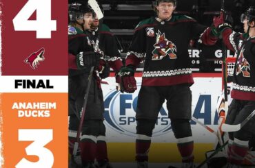 Qui a dit que les lundis n'étaient pas amusants !?  Quelle nuit ce fut dans le monde du hockey ...