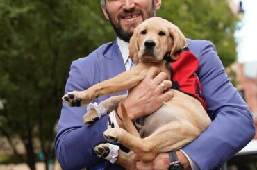 Après 17 mois et les honneurs #NHLFanChoice Best Dog, @CapsPup passe de ...