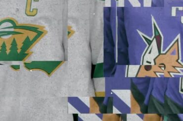 Rien ne vaut le hockey gratuit!  Regardez le visage @minnesotawild et @arizonacoyotes de ...