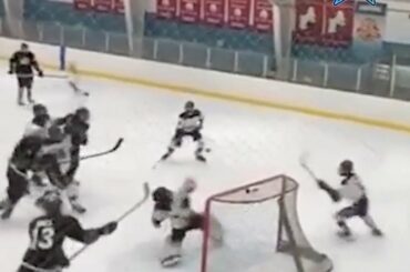 Stick save du siècle?!  #NHLFanSkills (@samgriswold _) ...