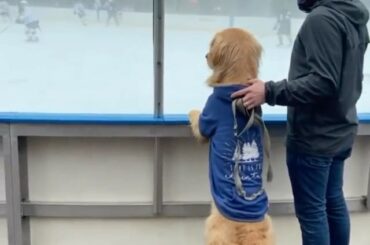 Chef du dépistage canin de la LNH (@hudsonbegood) ...
