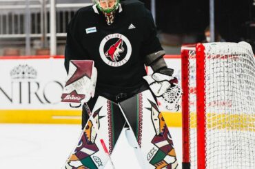 Deux mots: Kachina Pads (@arizonacoyotes) ...