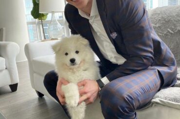 Le nouveau chiot Finn de Connor Murphy (@ cmurphyy5) est là pour égayer votre alimentation.  ...