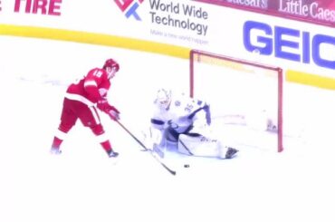 @jakubvrana a canalisé son intérieur Peter Forsberg sur celui-ci.  ...