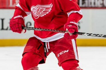 Evgeny Svechnikov micro contre son frère est une montre incontournable!  (@detroitredwings ...