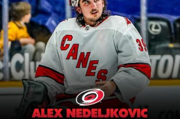 Quel voyage pour Alex Nedeljkovic (@alexned_)!  #Coupe Stanley...