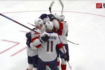 Radko Gudas obtient le cliché de la nuit et la réaction de la nuit!  #StanleyC ...