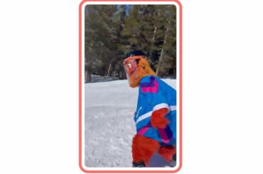 Ce moment mascotte ... Qui est digne de la couronne?  Votez en bio #NHLFanChoice ...