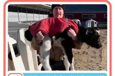 Parfois, il faut faire preuve de créativité ... Voter dans la bio #NHLFanChoice ...