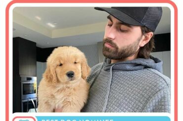 Quel chiot choisissez-vous comme meilleur chien?  Votez en bio #NHLFanChoice ...