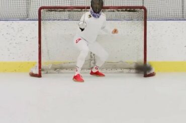 "FENCED AWAY" (voix du Doc Emrick) #StanleyCup ( @maxheinzer)...