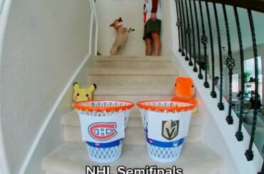 LES CHOIX DE CORGI SONT DANS #StanleyCup @canadiensmtl contre @vegasgoldenknights à 9 HE ...