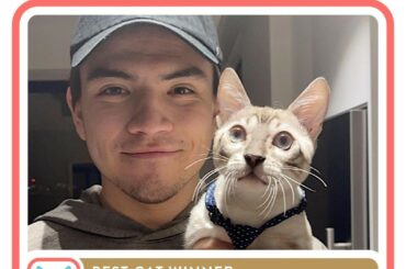 @snowbengal_milo est le premier chat des neiges de Nick Suzuki (@nsuzuki_37) de la LNH...