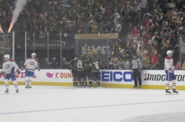 Alex Pietrangelo (@alexpetro27) en a DEUX dans la nuit !  #StanleyCup : @nhlonnbcs...