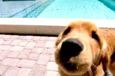 C'est le monde de @teddyytuch et @alextuch89 y vit.  Diffusez de nouveaux épisodes...